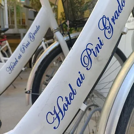Ai Pini Otel Grado