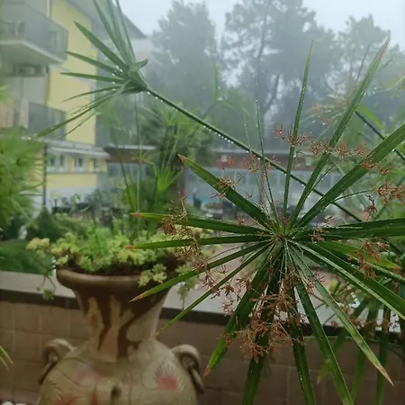 Ai Pini Otel Grado