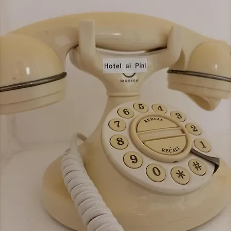 Hotel Ai Pini 3*