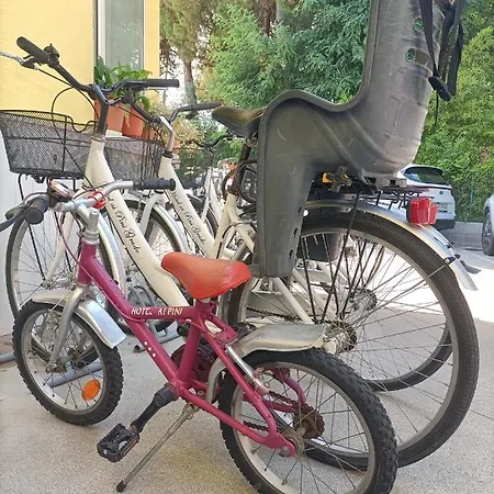 Otel Ai Pini