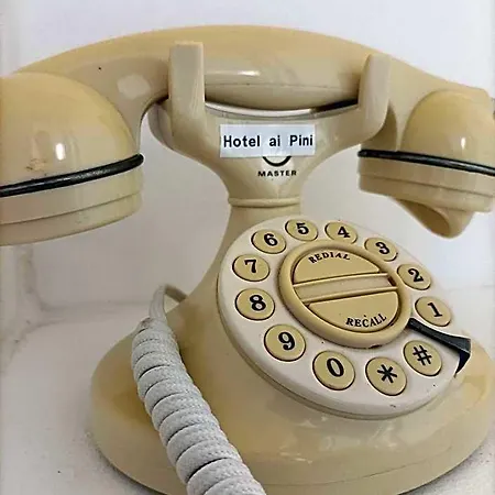 Ai Pini Hotel