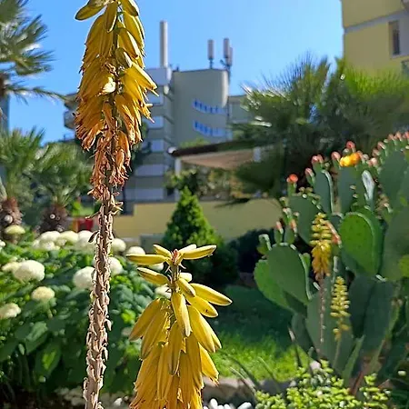 Hotel Ai Pini 3*