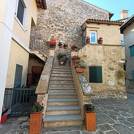 Ai Pini
