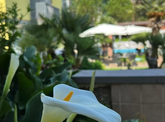 Ai Pini 3* グラード