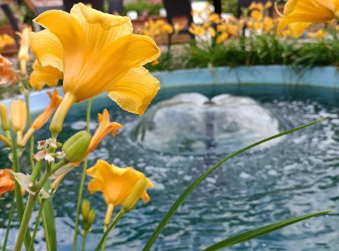 Ai Pini 3* グラード